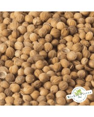 Coriandre - semences en vrac HERBORISTERIE DU PALAIS ROYAL PARIS MICHEL PIERRE