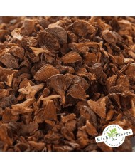 Cyprès - noix en vrac HERBORISTERIE DU PALAIS ROYAL MICHEL PIERRE PARIS Cyprès - noix en vrac HERBORISTERIE DU PALAIS ROYAL MICHEL PIERRE PARIS