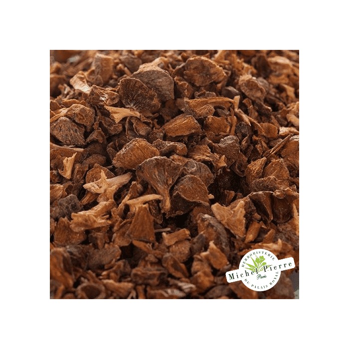 Cyprès - noix en vrac HERBORISTERIE DU PALAIS ROYAL MICHEL PIERRE PARIS