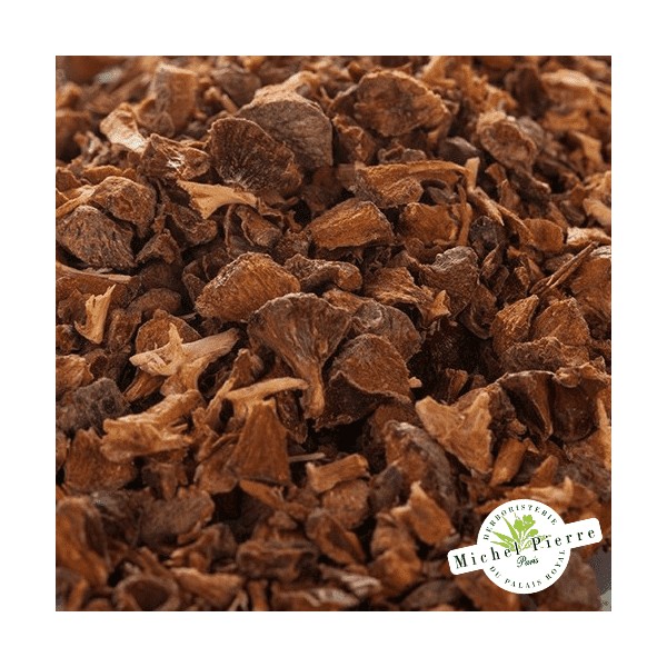Cyprès - noix en vrac HERBORISTERIE DU PALAIS ROYAL MICHEL PIERRE PARIS