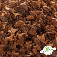 Cyprès - noix en vrac HERBORISTERIE DU PALAIS ROYAL MICHEL PIERRE PARIS