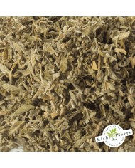 Damiana - Feuilles en vrac HERBORISTERIE DU PALAIS ROYAL MICHEL PIERRE PARIS