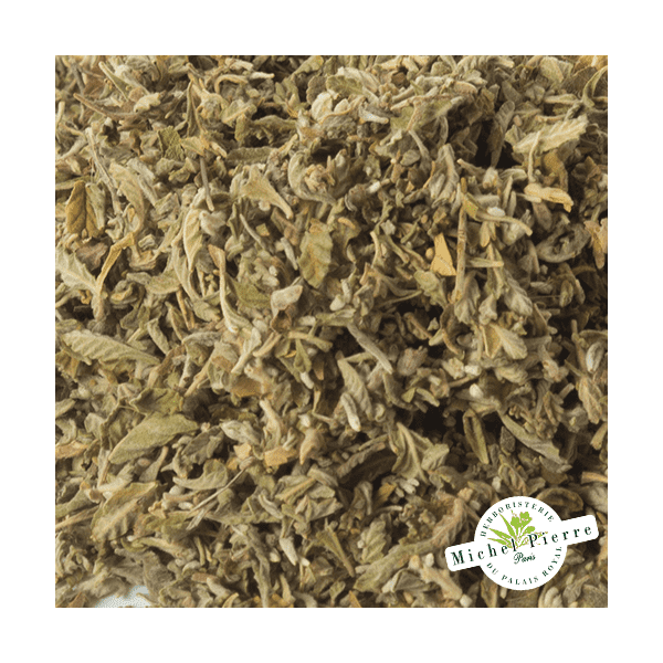 Damiana - Feuilles en vrac HERBORISTERIE DU PALAIS ROYAL MICHEL PIERRE PARIS