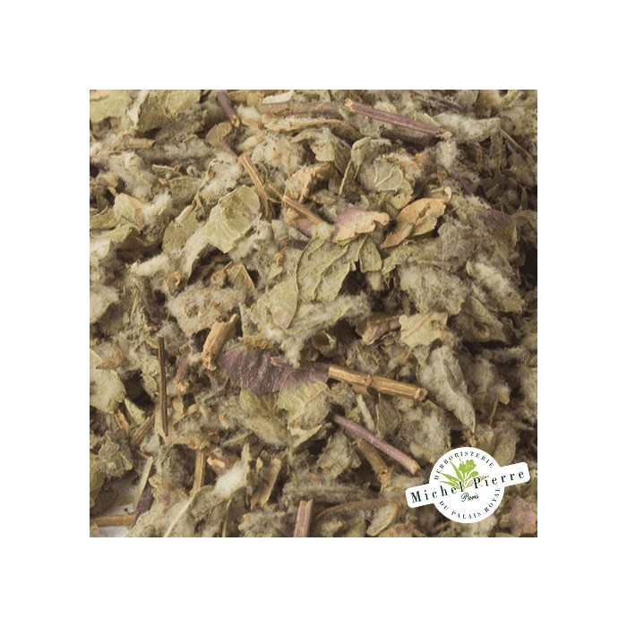 Dictamne de Crête - Parties Aériennes en vrac HERBORISTERIE DU PALAIS ROYAL MICHEL PIERRE PARIS