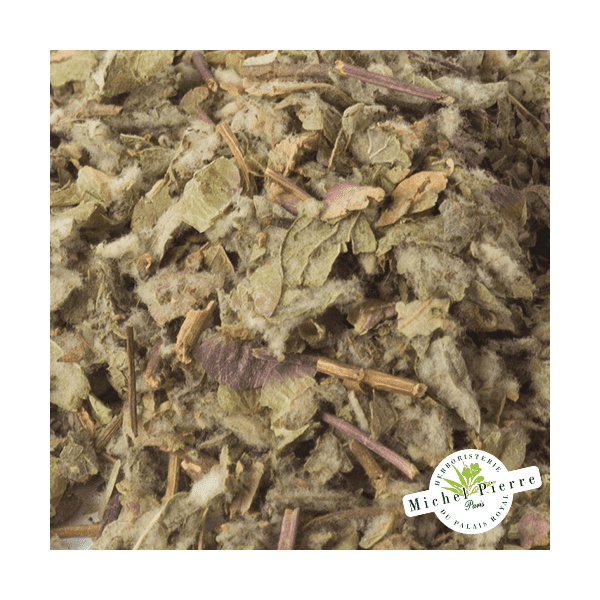 Dictamne de Crête - Parties Aériennes en vrac HERBORISTERIE DU PALAIS ROYAL MICHEL PIERRE PARIS