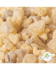 Encens "Oliban"  HERBORISTERIE DU PALAIS ROYAL MICHEL PIERRE PARIS Encens "Oliban"  HERBORISTERIE DU PALAIS ROYAL MICHEL PIERRE PARIS