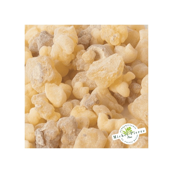 Encens "Oliban"  HERBORISTERIE DU PALAIS ROYAL MICHEL PIERRE PARIS