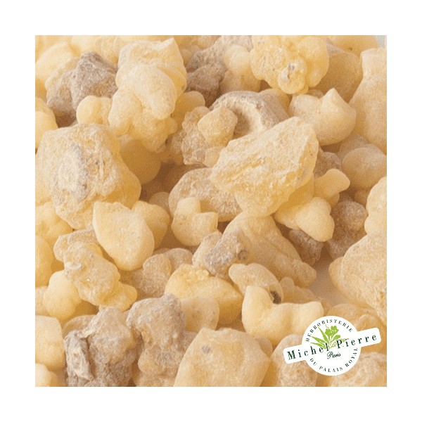 Encens "Oliban"  HERBORISTERIE DU PALAIS ROYAL MICHEL PIERRE PARIS