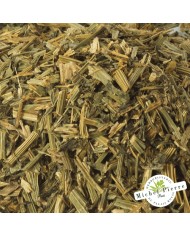 Escholtzia - Parties aériennes en vrac  HERBORISTERIE DU PALAIS ROYAL MICHEL PIERRE PARIS