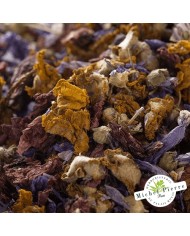 Espèces pectorales - Fleurs en vrac  HERBORISTERIE DU PALAIS ROYAL MICHEL PIERRE PARIS Espèces pectorales - Fleurs en vrac  HERBORISTERIE DU PALAIS ROYAL MICHEL PIERRE PARIS