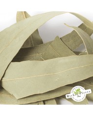 Eucalyptus - Feuilles en vracHERBORISTERIE DU PALAIS ROYAL MICHEL PIERRE PARIS Eucalyptus - Feuilles en vracHERBORISTERIE DU PALAIS ROYAL MICHEL PIERRE PARIS