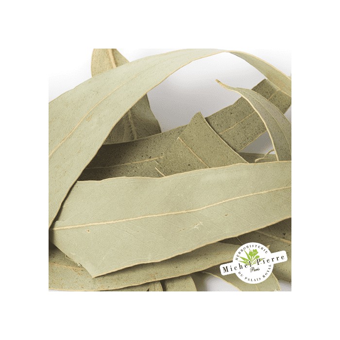 Eucalyptus - Feuilles en vracHERBORISTERIE DU PALAIS ROYAL MICHEL PIERRE PARIS