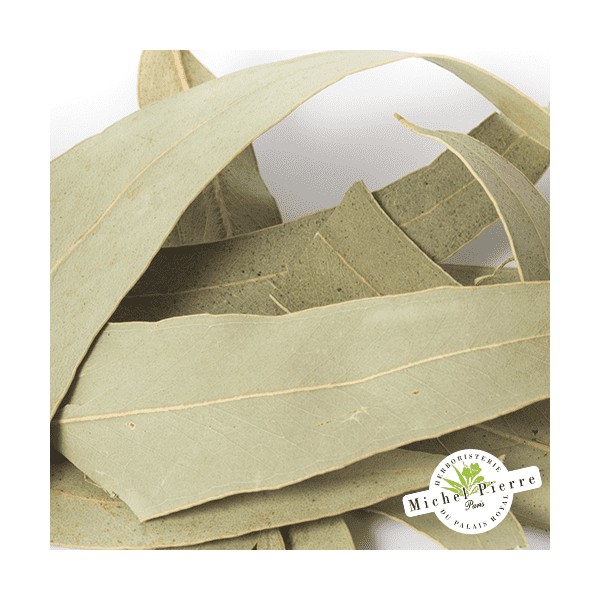 Eucalyptus - Feuilles en vracHERBORISTERIE DU PALAIS ROYAL MICHEL PIERRE PARIS