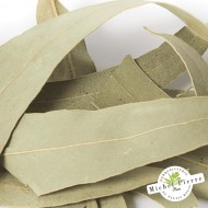 Eucalyptus - Feuilles en vracHERBORISTERIE DU PALAIS ROYAL MICHEL PIERRE PARIS