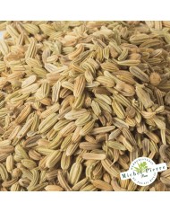 Fenouil - Fruit en vrac HERBORISTERIE DU PALAIS ROYAL MICHEL PIERRE PARIS Fenouil - Fruit en vrac HERBORISTERIE DU PALAIS ROYAL MICHEL PIERRE PARIS