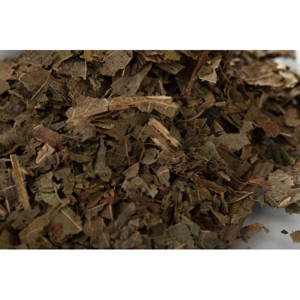 Noyer - Feuilles en vrac