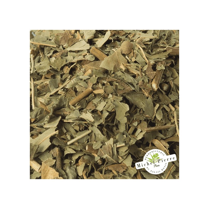 Frêne - Feuilles en vrac HERBORISTERIE DU PALAIS ROYAL MICHEL PIERRE PARIS