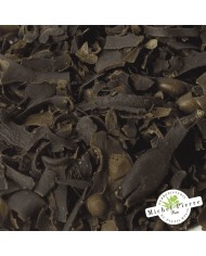 Fucus - Varech - Thalle en vrac HERBORISTERIE DU PALAIS ROYAL MICHEL PIERRE PARIS