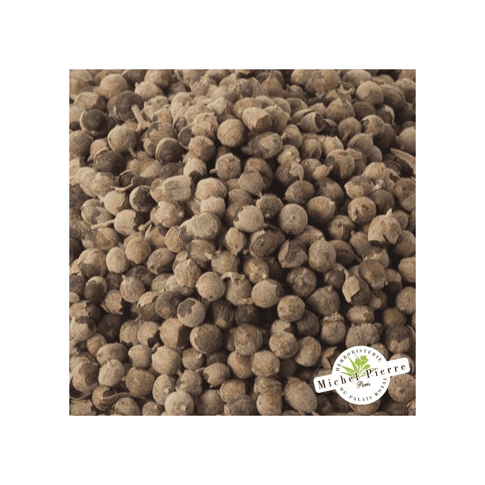 Gattilier - Semences en vrac HERBORISTERIE DU PALAIS ROYAL MICHEL PIERRE PARIS