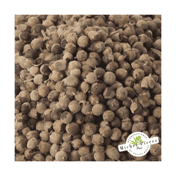 Gattilier - Semences en vrac HERBORISTERIE DU PALAIS ROYAL MICHEL PIERRE PARIS