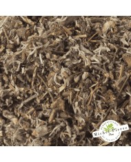 Génépi - Parties aériennes en vrac HERBORISTERIE DU PALAIS ROYAL MICHEL PIERRE PARIS