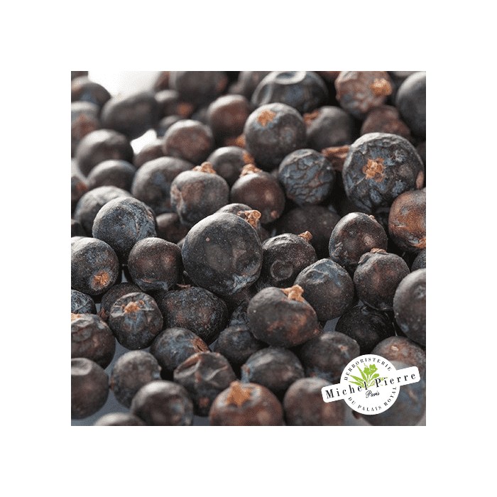 Genièvre - Baies en vrac HERBORISTERIE DU PALAIS ROYAL MICHEL PIERRE PARIS