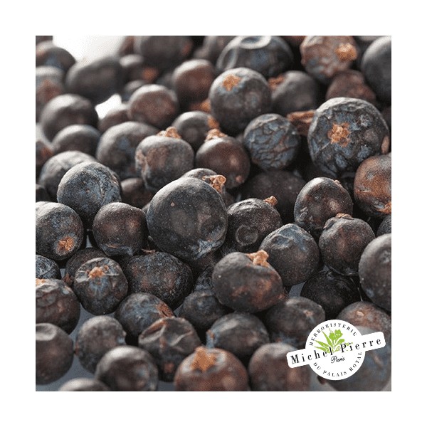 Genièvre - Baies en vrac HERBORISTERIE DU PALAIS ROYAL MICHEL PIERRE PARIS