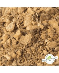 Gingembre en vrac HERBORISTERIE DU PALAIS ROYAL MICHEL PIERRE PARIS