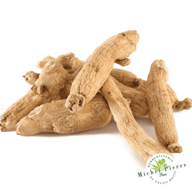 Ginseng blanc - Racines entières HERBORISTERIE DU PALAIS ROYAL MICHEL PIERRE PARIS Ginseng blanc - Racines entières HERBORISTERIE DU PALAIS ROYAL MICHEL PIERRE PARIS