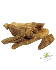 Ginseng rouge - Racines entières HERBORISTERIE DU PALAIS ROYAL MICHEL PIERRE PARIS Ginseng rouge - Racines entières HERBORISTERIE DU PALAIS ROYAL MICHEL PIERRE PARIS