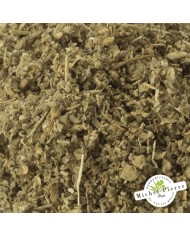 Guimauve - Feuilles en vrac HERBORISTERIE DU PALAIS ROYAL MICHEL PIERRE PARIS Guimauve - Feuilles en vrac HERBORISTERIE DU PALAIS ROYAL MICHEL PIERRE PARIS