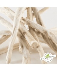 Guimauve en hochet HERBORISTERIE DU PALAIS ROYAL MICHEL PIERRE PARIS Guimauve en hochet HERBORISTERIE DU PALAIS ROYAL MICHEL PIERRE PARIS