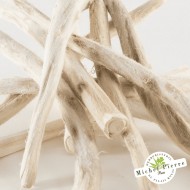 Guimauve en hochet HERBORISTERIE DU PALAIS ROYAL MICHEL PIERRE PARIS