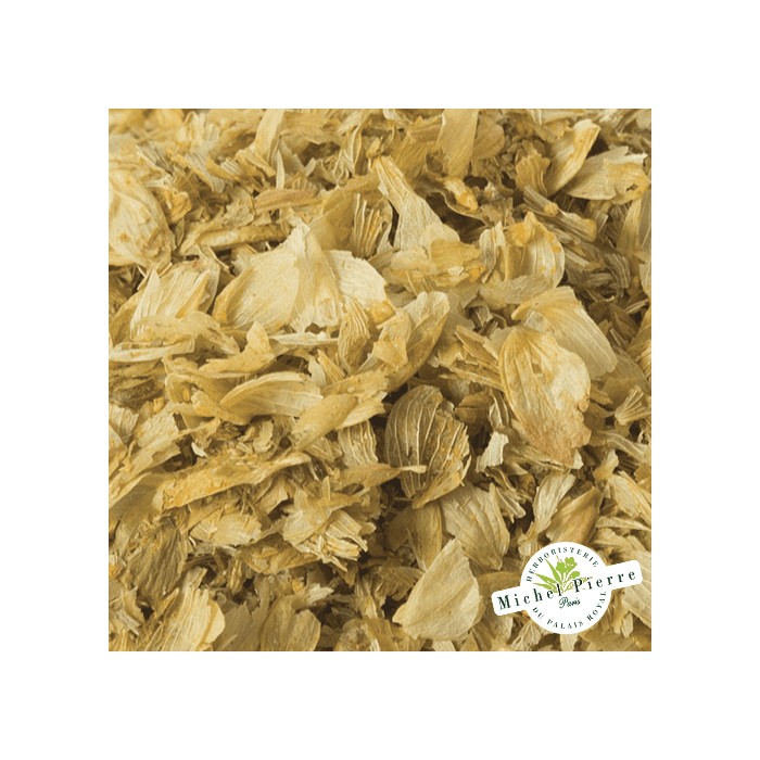 Houblon - Cônes en vracHERBORISTERIE DU PALAIS ROYAL MICHEL PIERRE PARIS