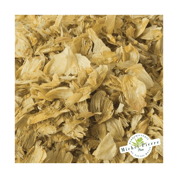 Houblon - Cônes en vracHERBORISTERIE DU PALAIS ROYAL MICHEL PIERRE PARIS