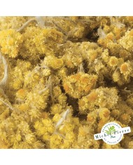 Immortelle fleur en vrac HERBORISTERIE DU PALAIS ROYAL MICHEL PIERRE PARIS Immortelle fleur en vrac HERBORISTERIE DU PALAIS ROYAL MICHEL PIERRE PARIS