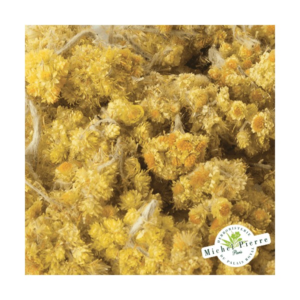 Immortelle fleur en vrac HERBORISTERIE DU PALAIS ROYAL MICHEL PIERRE PARIS