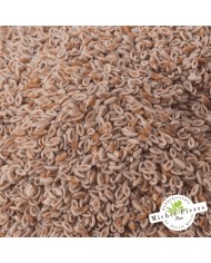 Ispaghul (Psyllium blond) - Graines en vrac HERBORISTERIE DU PALAIS ROYAL MICHEL PIERRE PARIS Ispaghul (Psyllium blond) - Graines en vrac HERBORISTERIE DU PALAIS ROYAL MICHEL PIERRE PARIS