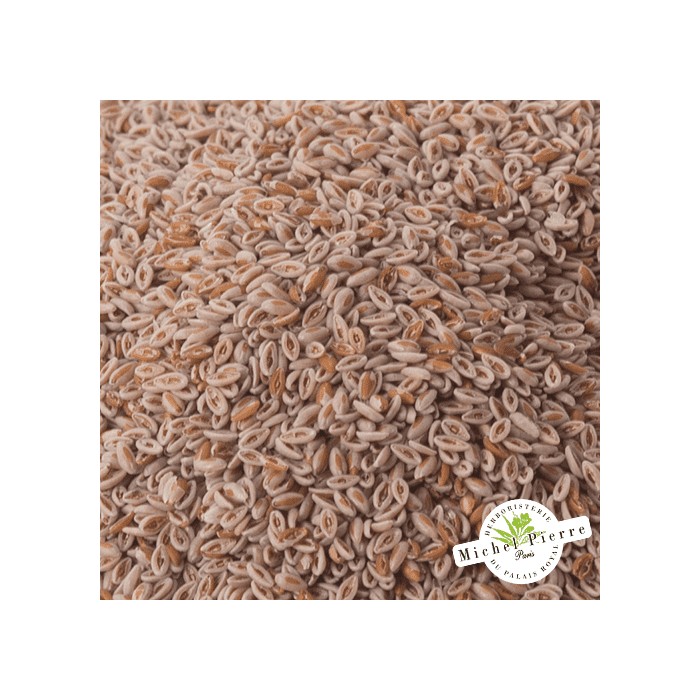 Ispaghul (Psyllium blond) - Graines en vrac HERBORISTERIE DU PALAIS ROYAL MICHEL PIERRE PARIS