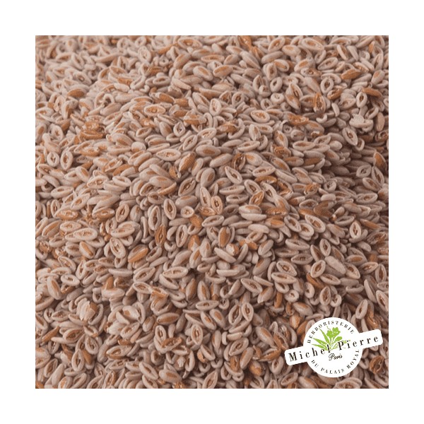 Ispaghul (Psyllium blond) - Graines en vrac HERBORISTERIE DU PALAIS ROYAL MICHEL PIERRE PARIS