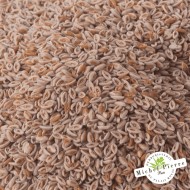 Ispaghul (Psyllium blond) - Graines en vrac HERBORISTERIE DU PALAIS ROYAL MICHEL PIERRE PARIS Ispaghul (Psyllium blond) - Graines en vrac HERBORISTERIE DU PALAIS ROYAL MICHEL PIERRE PARIS