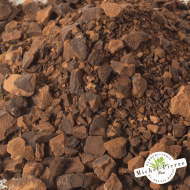 Kola - Noix en vrac HERBORISTERIE DU PALAIS ROYAL MICHEL PIERRE PARIS