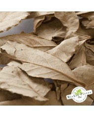 Laurier noble - Feuilles en vrac - HERBORISTERIE DU PALAIS ROYAL PARIS MICHEL PIERRE Laurier noble - Feuilles en vrac - HERBORISTERIE DU PALAIS ROYAL PARIS MICHEL PIERRE