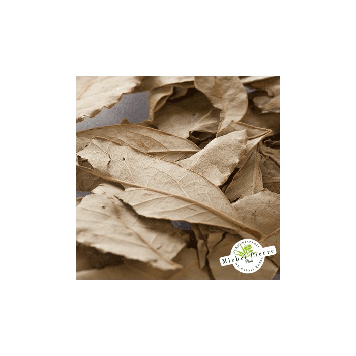 Laurier noble - Feuilles en vrac - HERBORISTERIE DU PALAIS ROYAL PARIS MICHEL PIERRE