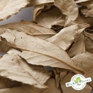 Laurier noble - Feuilles en vrac - HERBORISTERIE DU PALAIS ROYAL PARIS MICHEL PIERRE
