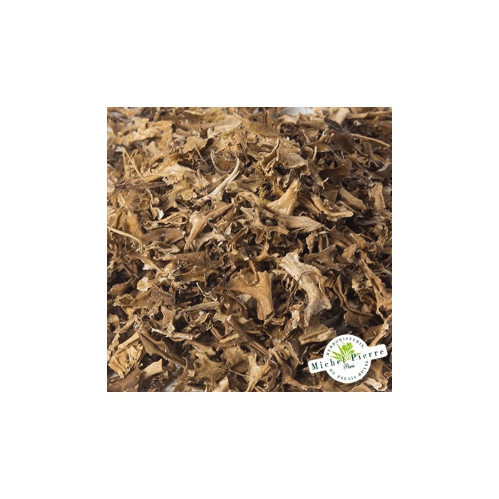 Lichen d'Islande - Thalle en vrac - HERBORISTERIE DU PALAIS ROYAL PARIS MICHEL PIERRE