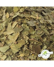 Lierre grimpant - Feuilles en vrac- HERBORISTERIE DU PALAIS ROYAL PARIS MICHEL PIERRE