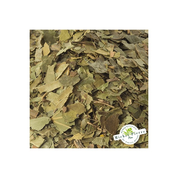 Lierre grimpant - Feuilles en vrac- HERBORISTERIE DU PALAIS ROYAL PARIS MICHEL PIERRE