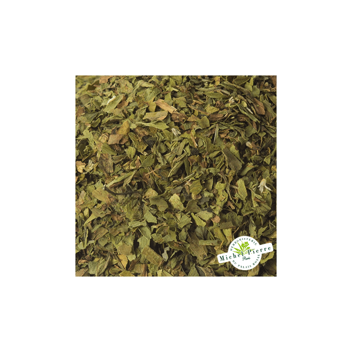 Livèche - Feuilles en vrac - HERBORISTERIE DU PALAIS ROYAL PARIS MICHEL PIERRE