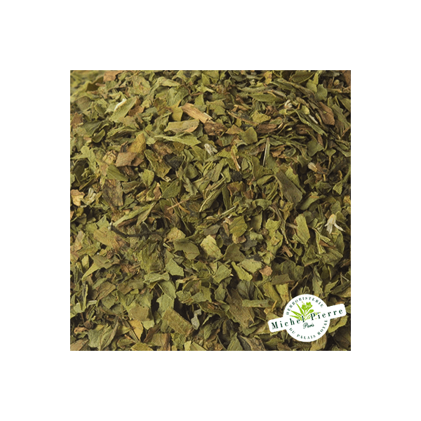 Livèche - Feuilles en vrac - HERBORISTERIE DU PALAIS ROYAL PARIS MICHEL PIERRE